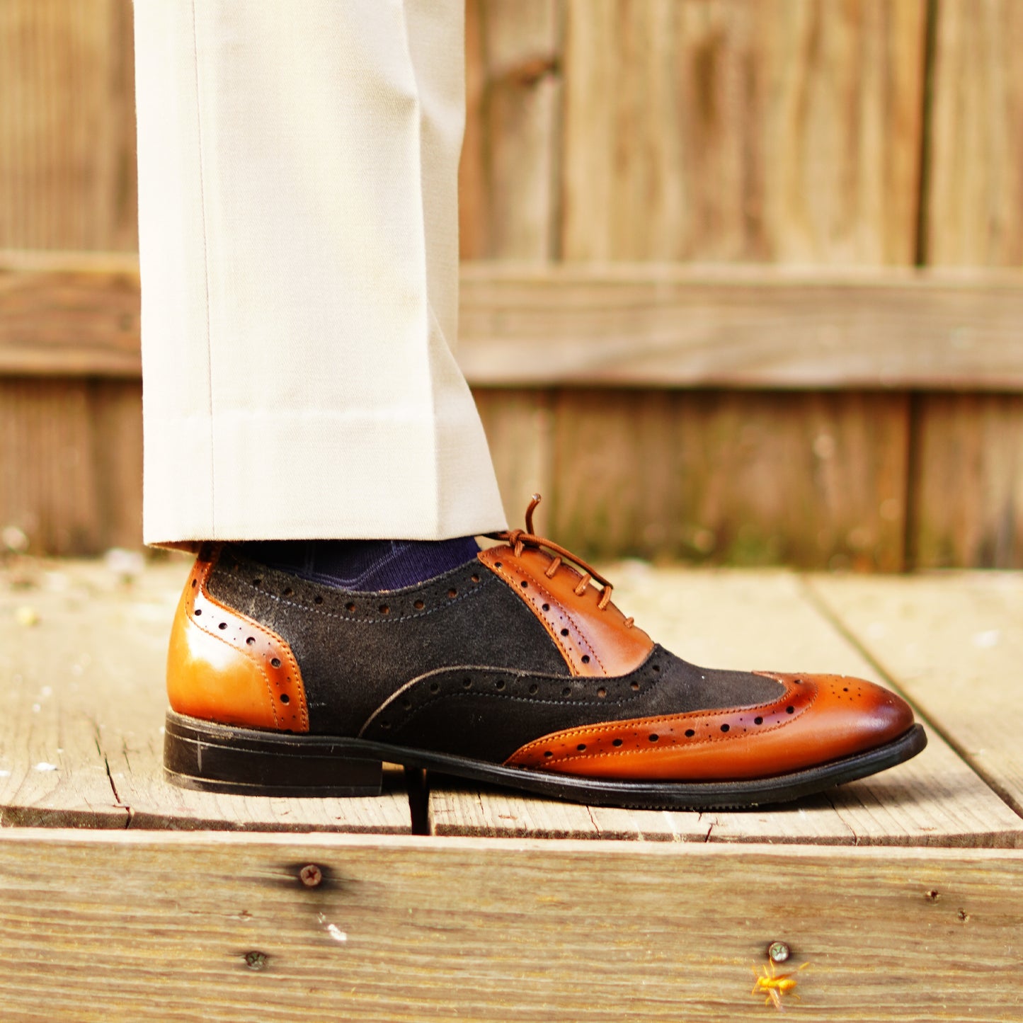 MATR Cosmo Men's Black Suede & tan Leather TPR Sole Party Brogue Shoes